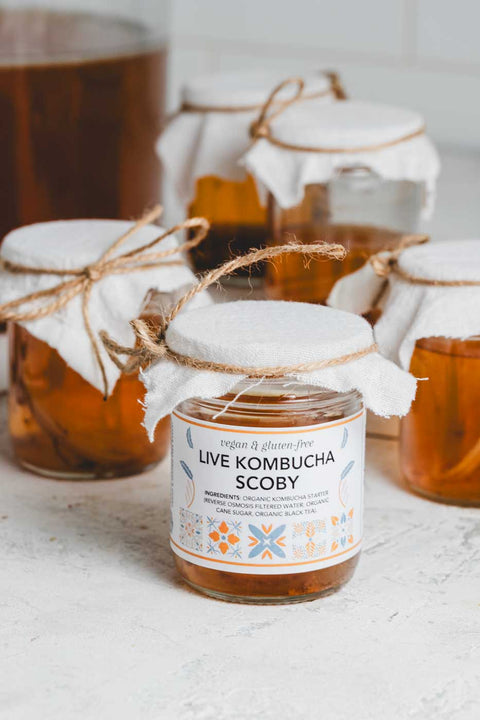 Jars of kombucha with a live scoby, labeled and with cloth covers tied with twine, on a kitchen counter.